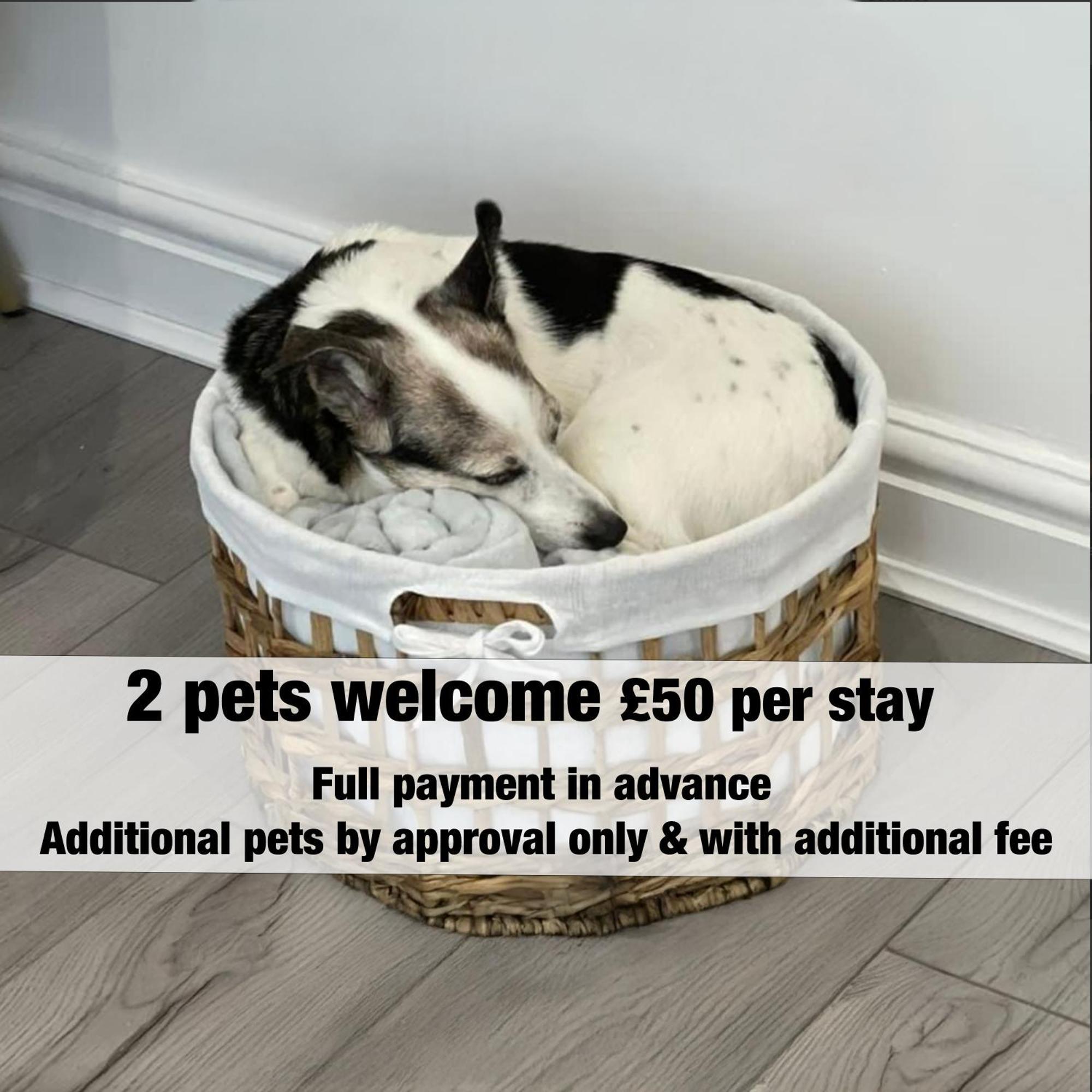 Emerald Delightful Suite Moseley Mews, Birmingham By Staystaycations 外观 照片